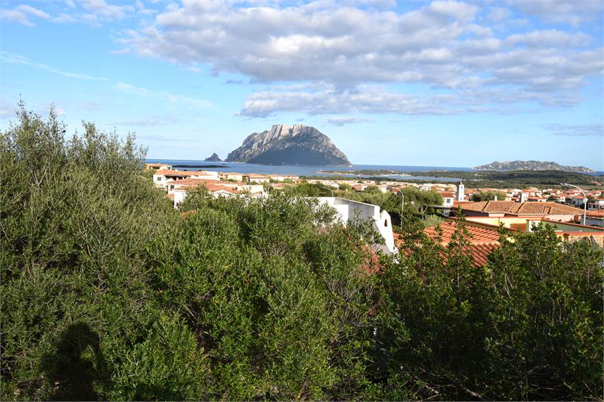 vista dal solarium