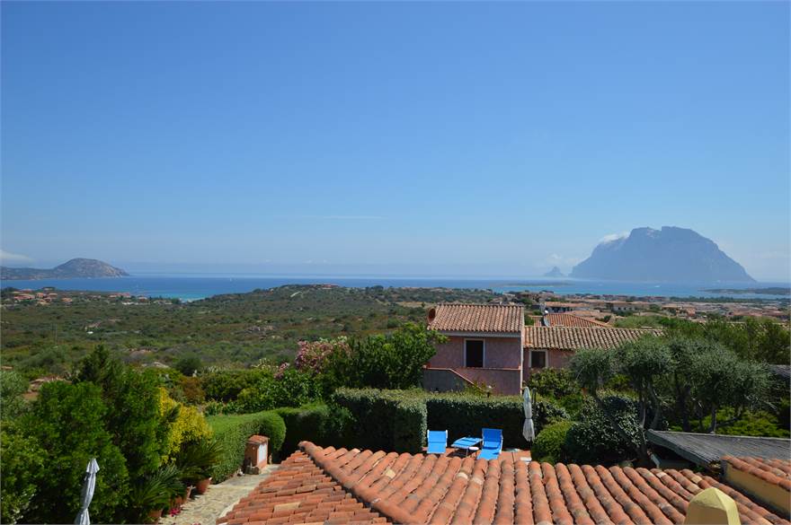 Vista