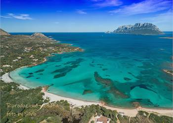 Villa in Vendita a  Porto Istana   