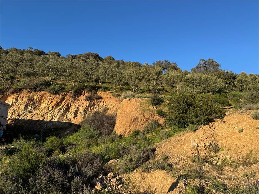 Cavità predisposta per edificazione 